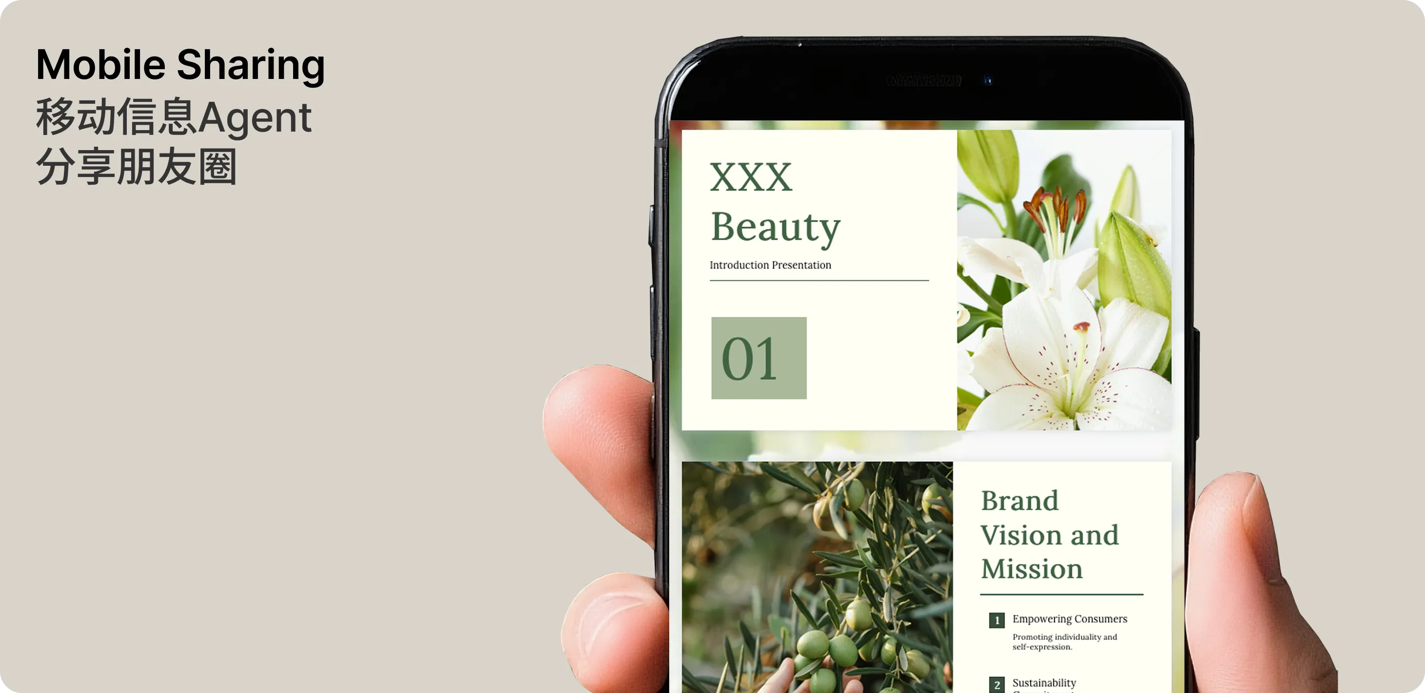 Pi Presentation Example 3